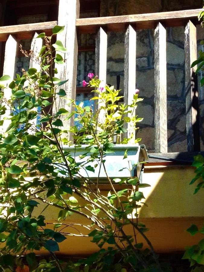 La Luciernaga Guest House Sorihuela Екстериор снимка