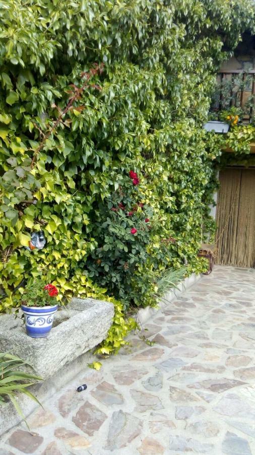 La Luciernaga Guest House Sorihuela Екстериор снимка